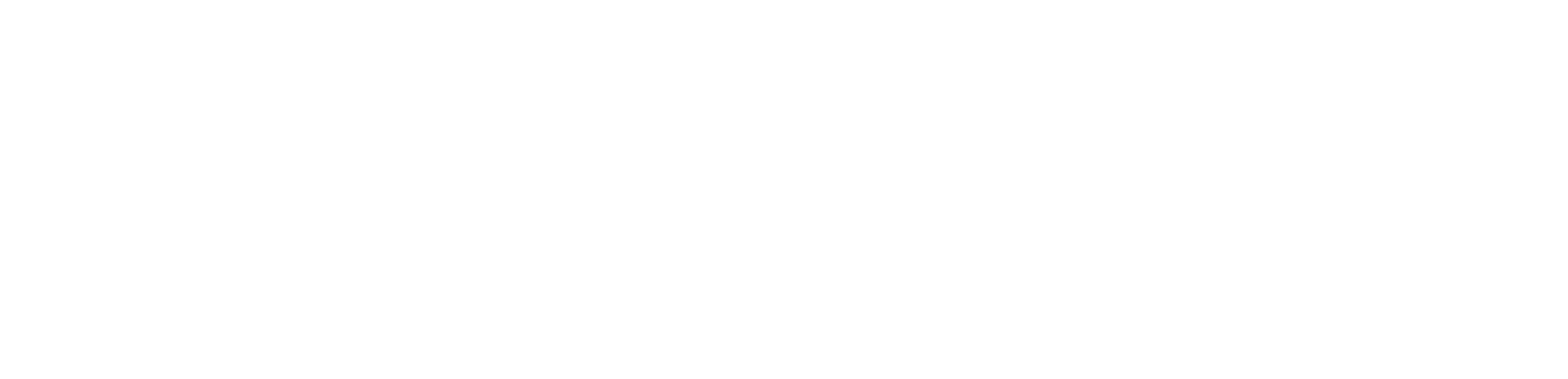 Segmentify logo